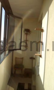 Фото Санкт-Петербург,  Санкт-Петербург ул. Оптиков д.34 к2