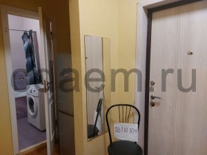 Фото Подольск, Кузнечики,43