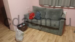 Фото Подольск, Кузнечики,43